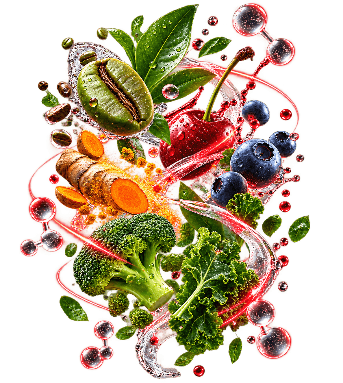 The seven S7® plant ingredients: green coffee bean, green tea, turmeric, tart cherry, blueberry, broccoli and kale